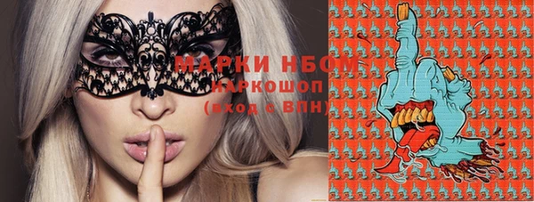 мдпв Верхний Тагил